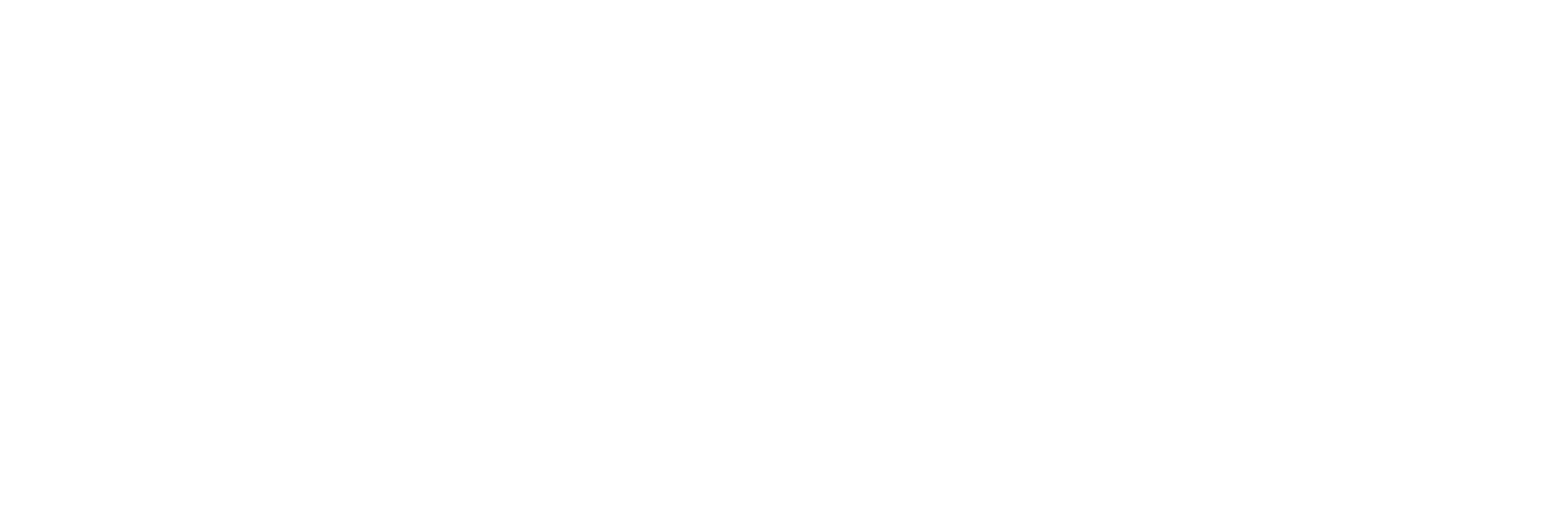Tassnief Company